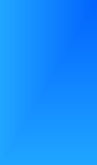 Professional Support Services